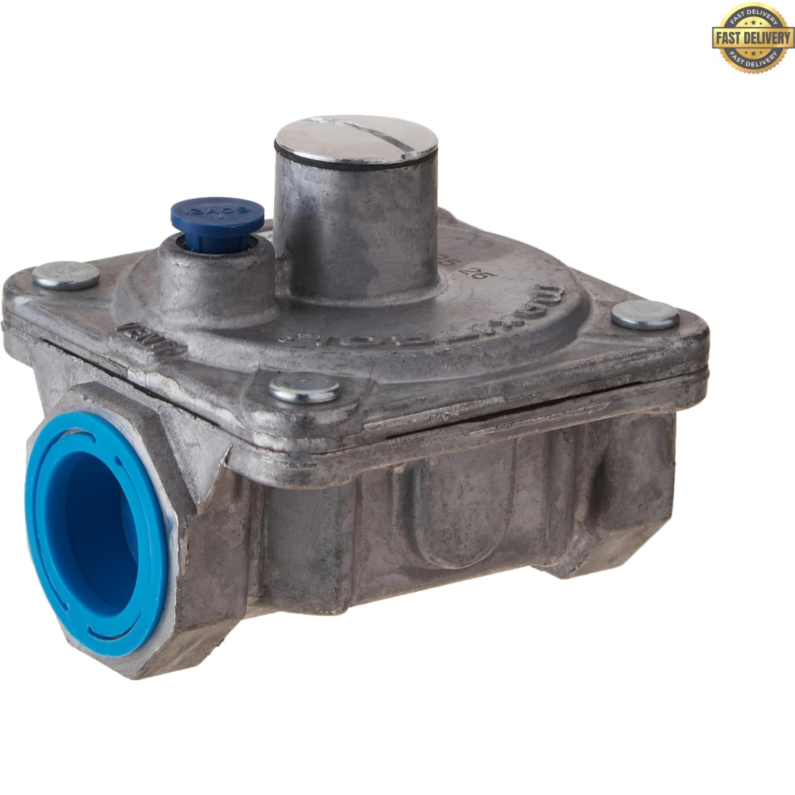 Efficient RV48L Natural Gas Pressure Regulator – Dual Port, Easy Installation