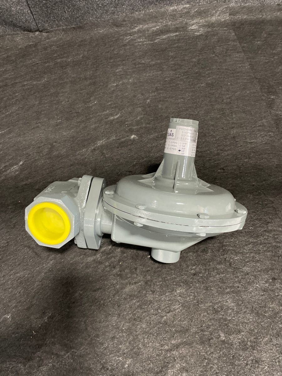 Belgas P302H140030B3F0 300 Series Relieving Gas Pressure Regulator